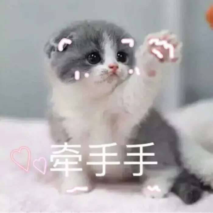 http://st-static1.qccun.cn/forums/2024/12/06/17334743146093.jpeg