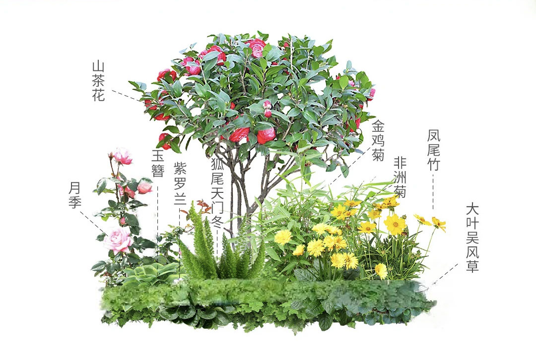 http://st-static1.qccun.cn/forums/2024/12/10/17338207526117.png