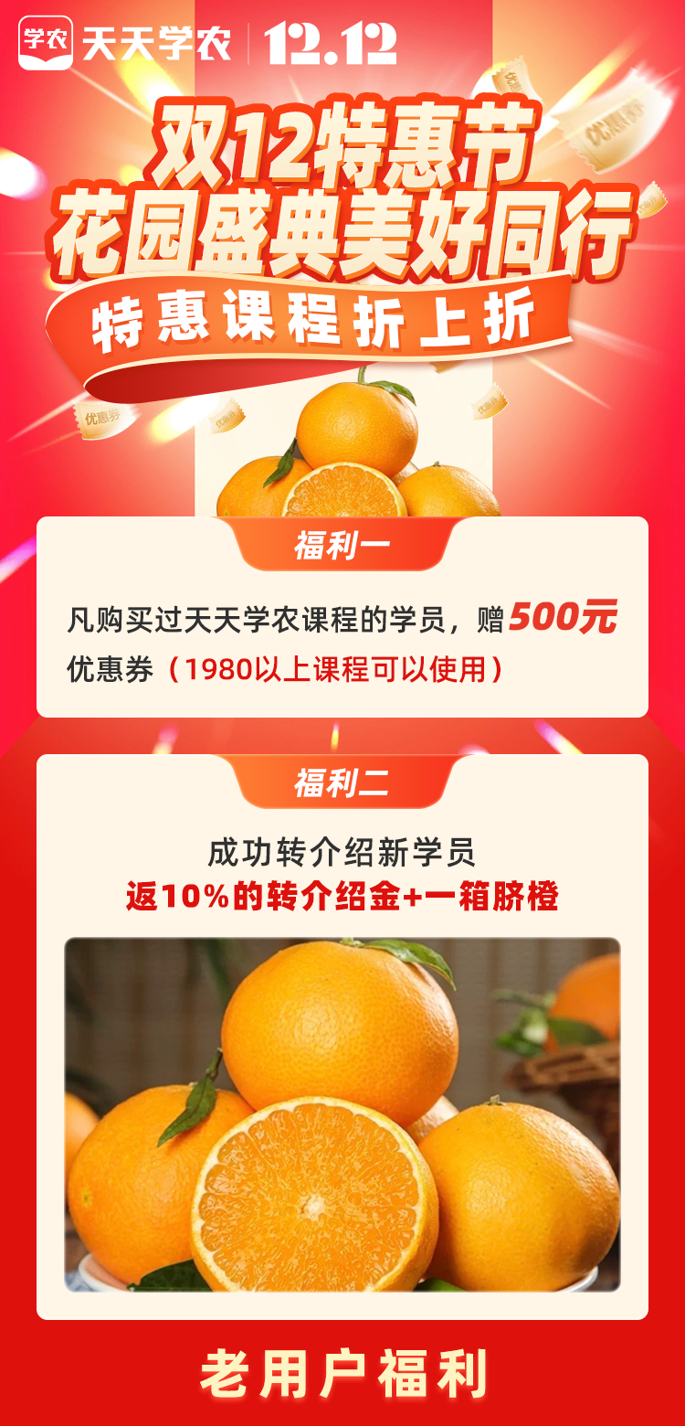 http://st-static1.qccun.cn/forums/2024/12/10/17338308751126.png