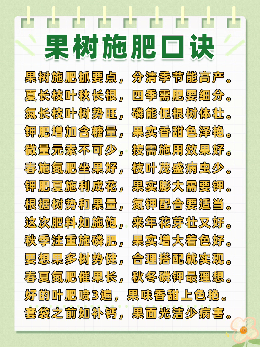 http://st-static1.qccun.cn/forums/2024/12/26/17351998504236.png