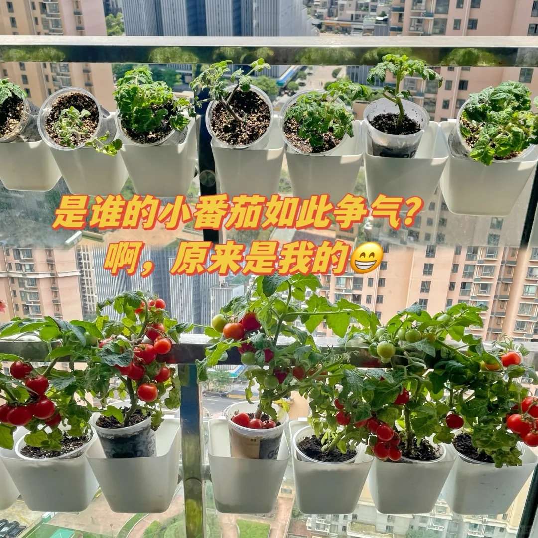 http://st-static1.qccun.cn/forums/2024/12/26/17352025632171.jpeg
