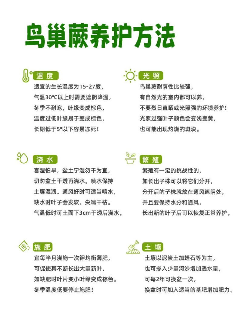 http://st-static1.qccun.cn/forums/2024/12/26/17352082321393.png