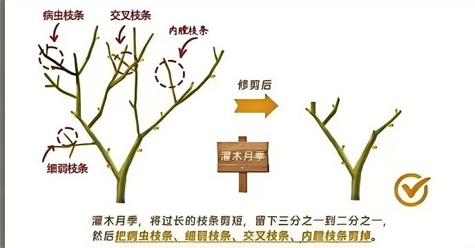 http://st-static1.qccun.cn/forums/2024/12/30/17355526554123.jpg