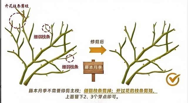 http://st-static1.qccun.cn/forums/2024/12/30/17355526909945.jpg
