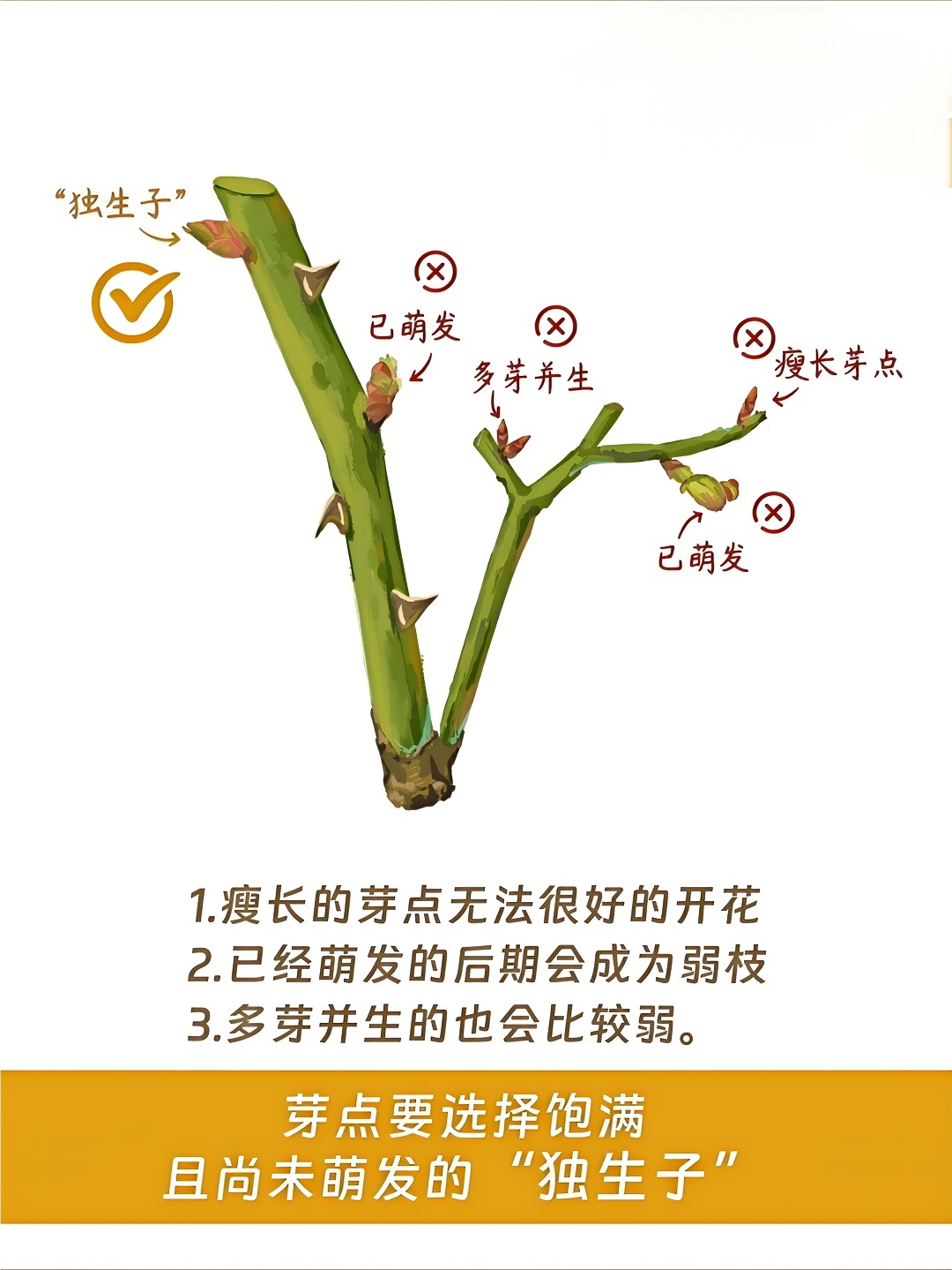 http://st-static1.qccun.cn/forums/2024/12/30/17355527515117.png