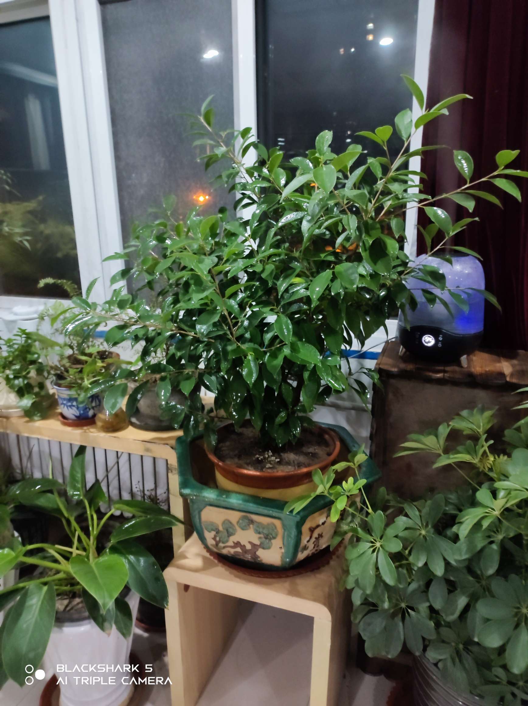 快乐源泉