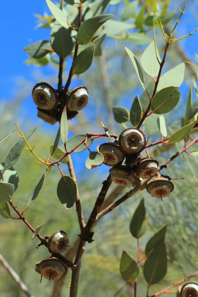 http://st-static1.qccun.cn/forums/2025/01/07/17361796958163.png