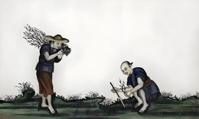 揭秘清朝 &ldquo;红薯盛世&rdquo;：小小红薯如何撬动历史乾坤
