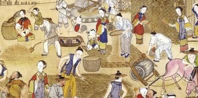 系列二：《官方力挺：红薯北上之路》