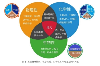 土壤和作物生育的关系
