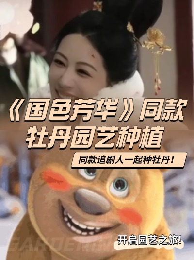 举个花铲铲，跟着《国色芳华》一起种牡丹！