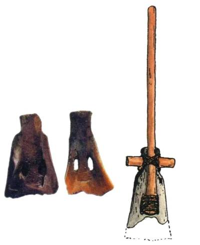 8000 年前的「米其林」盛宴：河姆渡人用牛骨吃饭的惊天秘密
