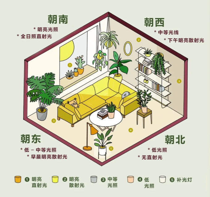 http://st-static1.qccun.cn/forums/2025/02/06/17388128291586.png