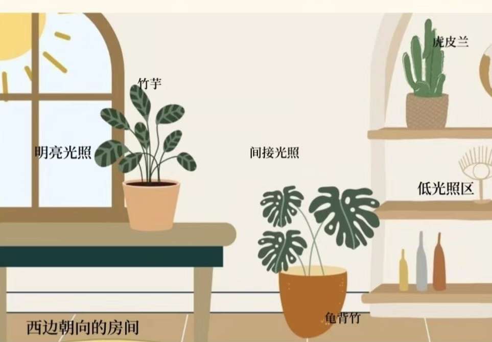 http://st-static1.qccun.cn/forums/2025/02/06/17388137692223.jpeg