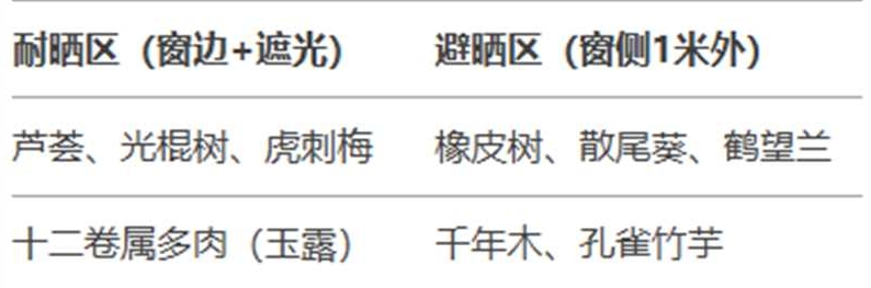 http://st-static1.qccun.cn/forums/2025/02/06/17388142171387.jpg