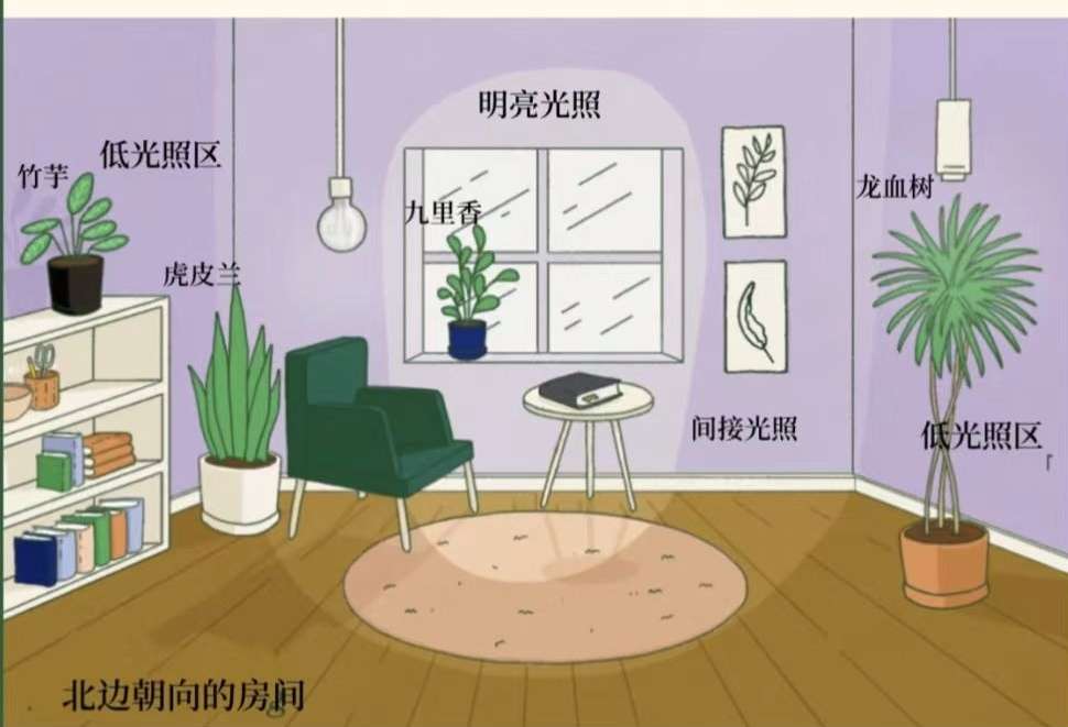 http://st-static1.qccun.cn/forums/2025/02/06/17388144187134.jpeg