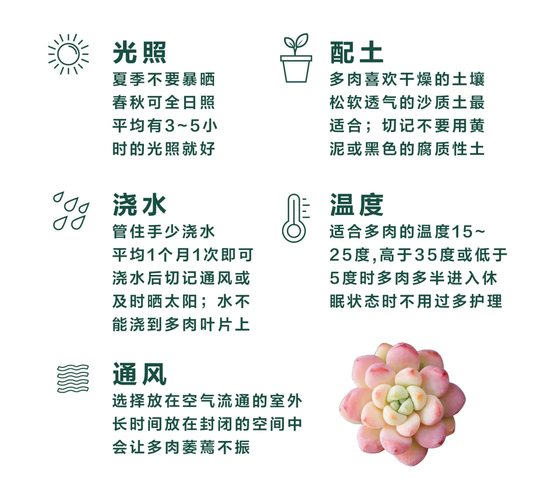 http://st-static1.qccun.cn/forums/2025/02/10/17391722467857.png