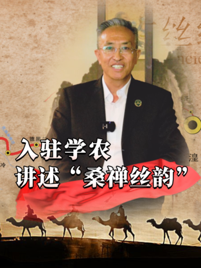 穿越千年，蚕桑丝绸文化熠熠生辉！今天，&ldquo;桑禅丝韵&rdquo;带你揭开神秘面纱，探寻蚕桑密码！#丰农控股 #蚕桑丝绸 #丝绸之路