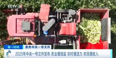 2025中央一号文件深度解读丨园艺景观行业迎来黄金发展期，三大机遇不可错过！