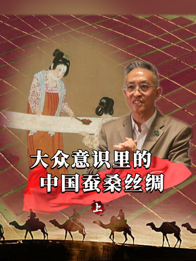 蚕桑丝绸承载着千年历史，是中华文化的靓丽名片，那么它在大众的意识里是什么印象呢？今天我们来讲第一部分#丰农控股 #蚕桑丝绸 #丝绸之路
