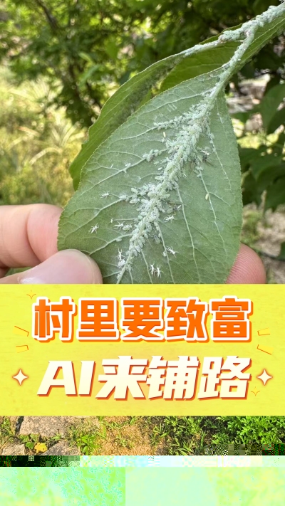 没有套路的农村AI工具，就是识农小程序