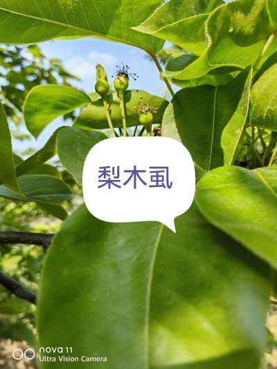 http://st-static1.qccun.cn/forums/2025/04/15/17447048754679.jpeg