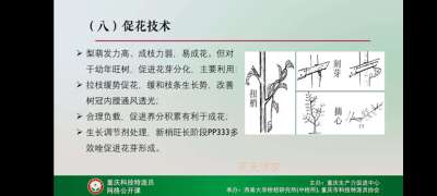 http://st-static1.qccun.cn/forums/2025/04/20/17451291558751.jpeg