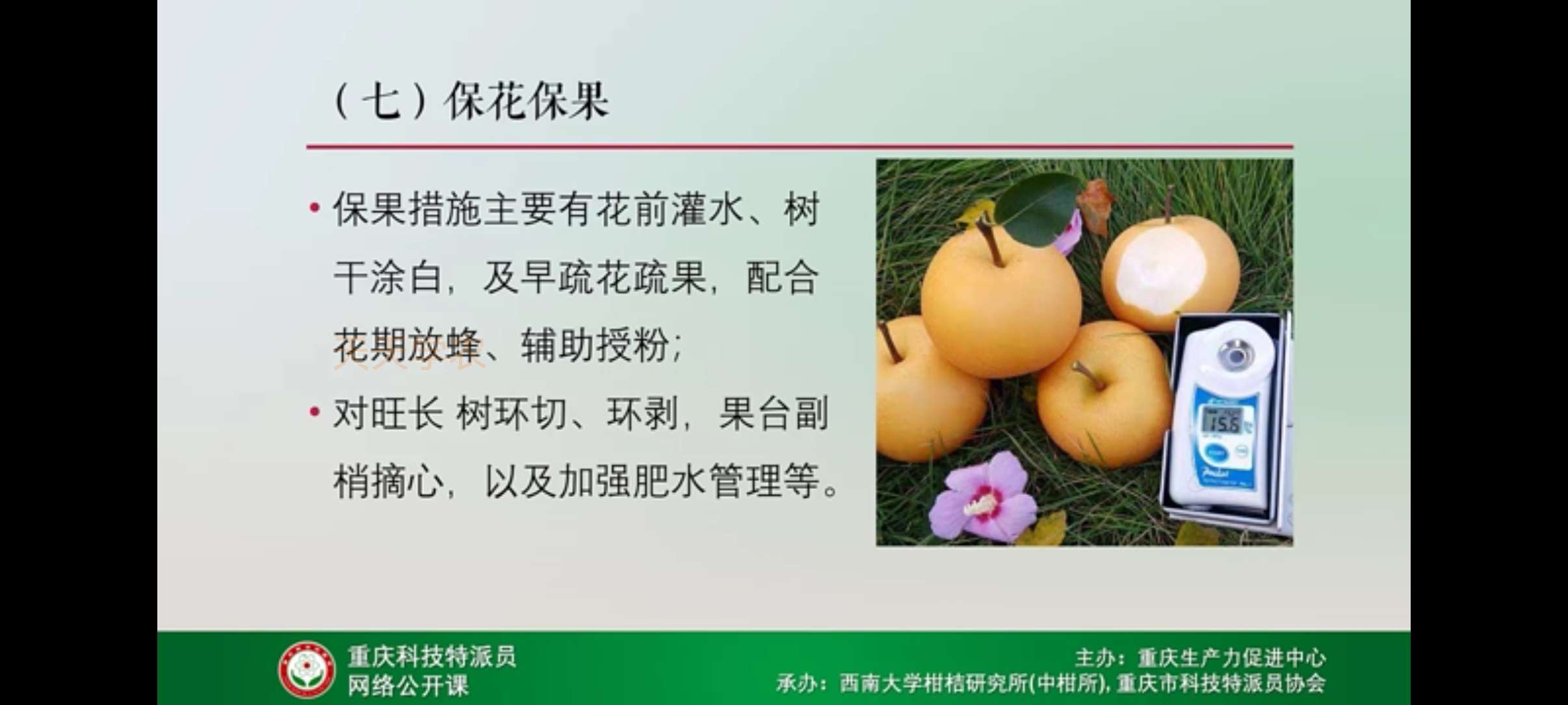 http://st-static1.qccun.cn/forums/2025/04/20/17451291568942.jpeg