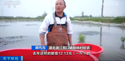 小龙虾越卖越便宜，这些养殖户还在赚钱