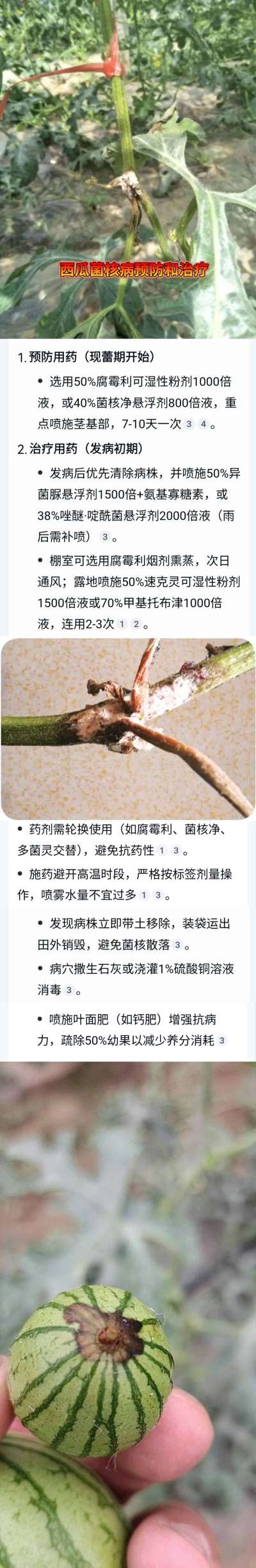 http://st-static1.qccun.cn/forums/2025/04/23/17453936646134.jpeg