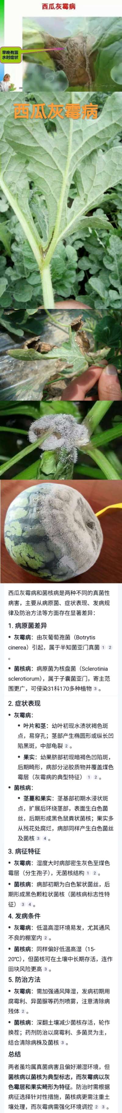 http://st-static1.qccun.cn/forums/2025/04/23/17453975972028.jpeg