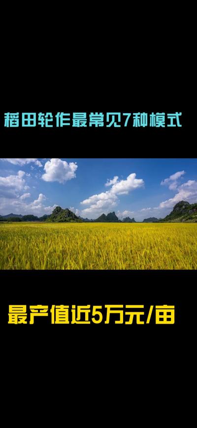&ldquo;一田多收，藏着农业增收的密码！今天带您1分钟看懂水稻轮作的致富密码