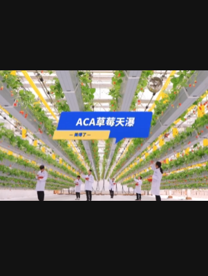 自由升降、追光生长。#ACA草莓天瀑，美爆了！向天再借500平！#ACA可控农业 #华维集团 #数字农业
