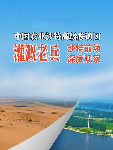 #华维沙特行 灌溉之于沙漠之城利雅得的现实意义 #灌溉不止于灌溉 #华维集团