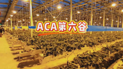 #ACA第六谷 模式，打造#ACA作物工厂，规划建园到栽培种植水肥管理一站式服务！#可控农业 #华维集团