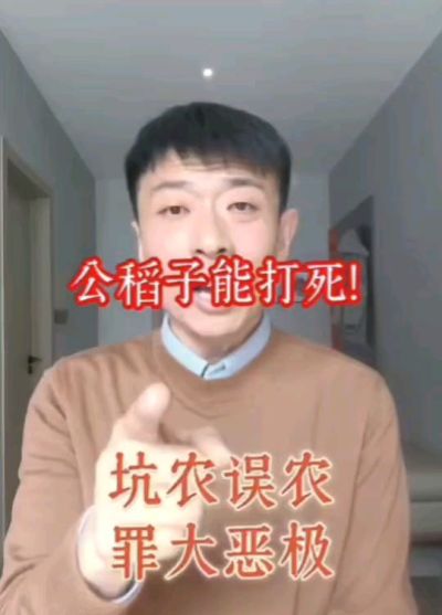 公稻子可以打死？纯属误农！