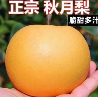 http://st-static1.qccun.cn/forums/2025/07/29/17537865122719.png