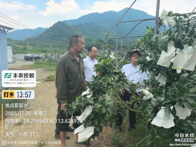 邓老师带队考察开发泰国红宝石基地。
