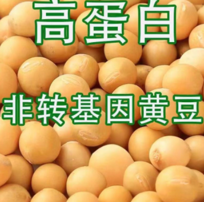 http://st-static1.qccun.cn/forums/2025/08/06/17544750598565.png
