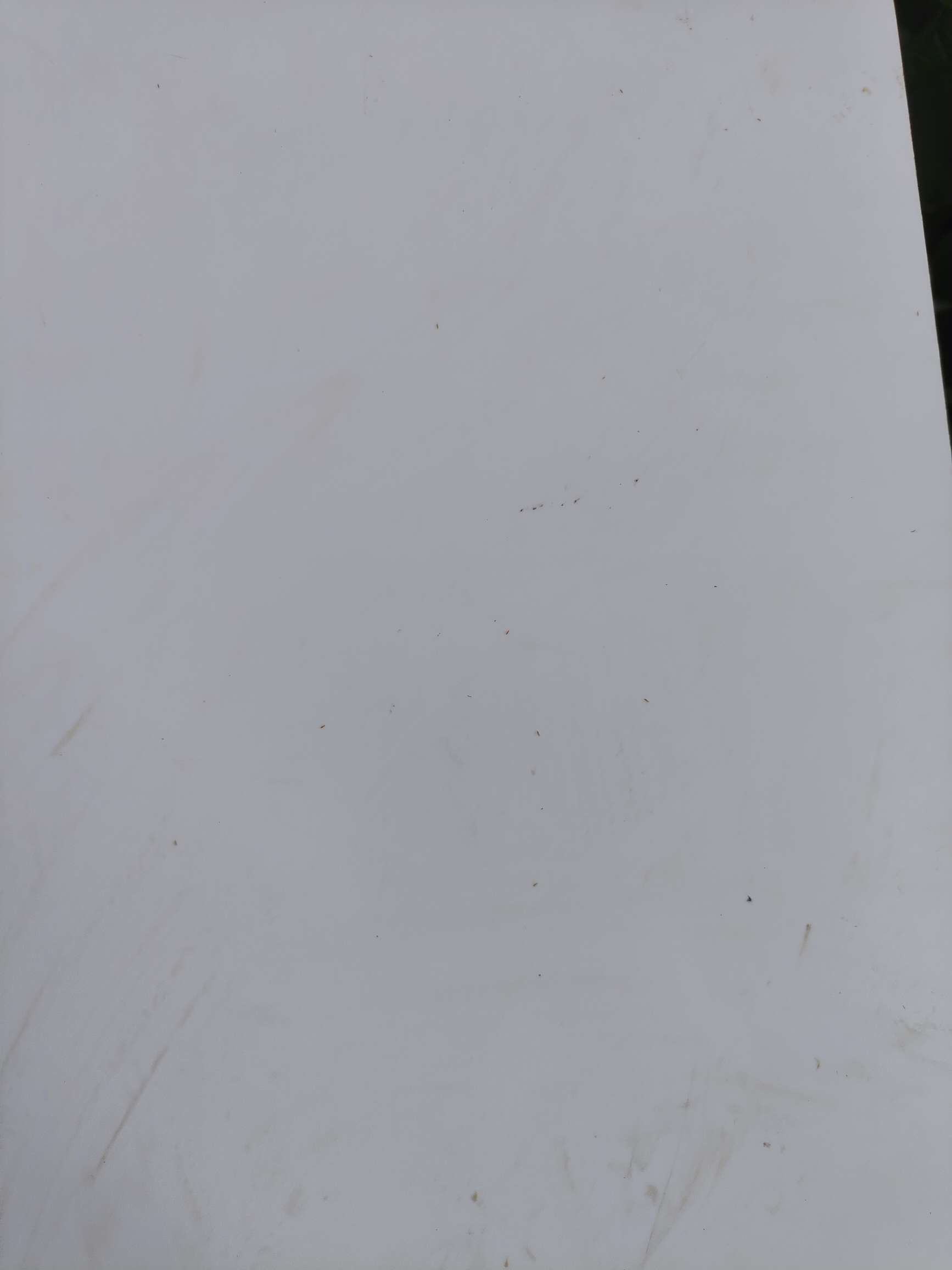 http://st-static1.qccun.cn/forums/2025/08/18/17555288245629.jpeg