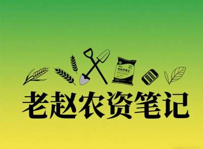 乡镇农资店对接厂家：不是否定代理，是找对&ldquo;有前景的小厂&rdquo;补增量