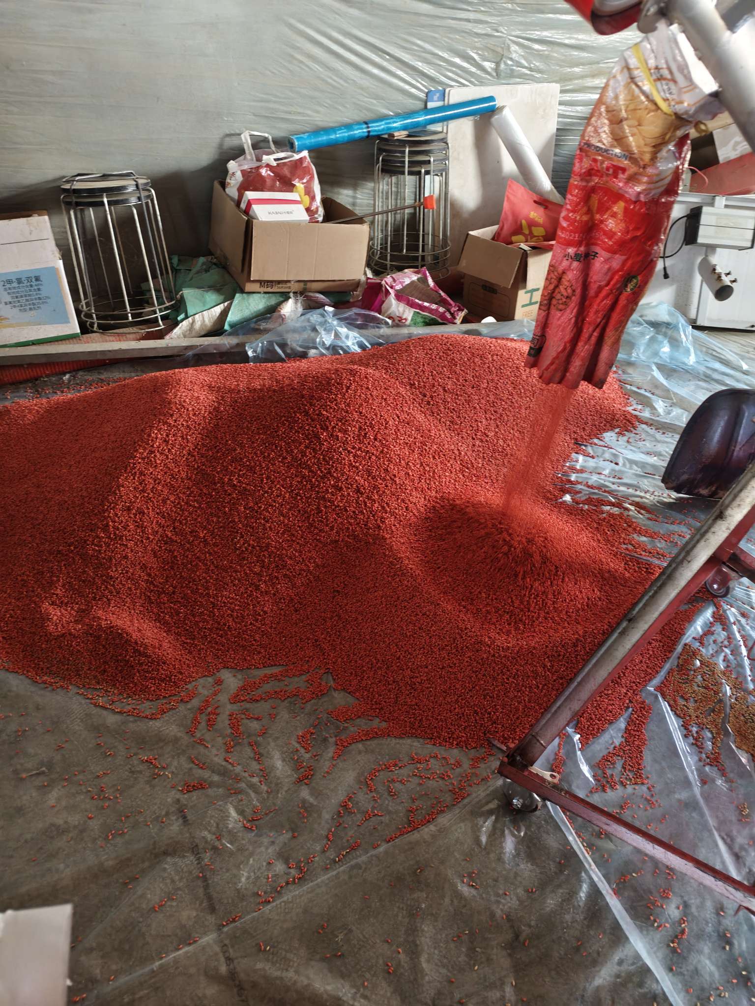 四冠包衣拌种，防虫防病壮苗增产。