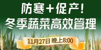 《细说农技》专家张宝林教冬季蔬菜防寒 + 促产高效管理，27 日晚 8 点！