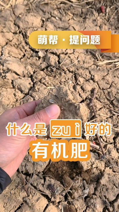 什么是最好的有机肥