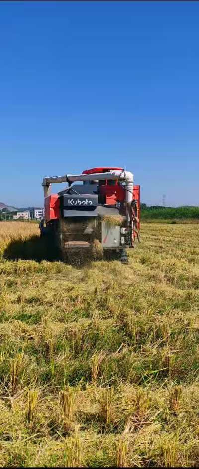 惠州基地，无人拖拉机收水稻了。