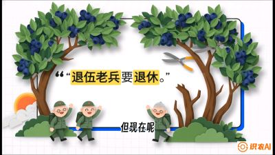 第7节：修剪决定产量（下）&mdash;&mdash;结果树的更新与疏果，课程：《蓝莓&ldquo;高产&rdquo;实战课：从选苗到丰收的10个关键点》