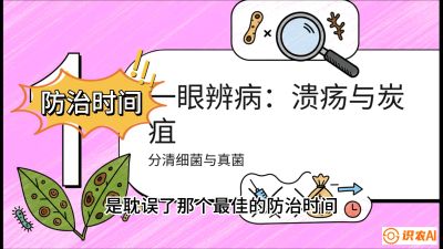 第三节：细菌与真菌&mdash;&mdash;溃疡病与炭疽病，课程：《柑橘十大病虫害：从入门到精通》
