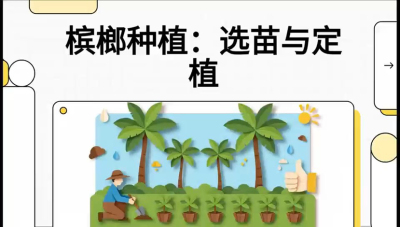 第01节：选苗与定植&mdash;&mdash;&ldquo;苗好一半收，底肥定千秋&rdquo;课程：《槟榔种植：从不懂到精通的10堂必修课》