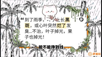 第05节：常见真菌病害&mdash;&mdash;&ldquo;炭疽与烂心，早防值千金&rdquo;《槟榔种植：从不懂到精通的10堂必修课》