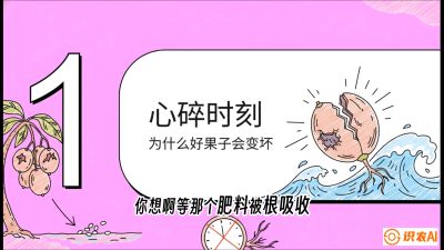 第08节：微量元素与保果&mdash;&mdash;&ldquo;补硼又补钙，果子不裂坏&rdquo;《槟榔种植：从不懂到精通的10堂必修课》